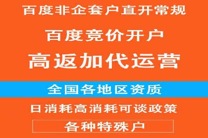 成功案例揭秘：百度推广代运营的五大优势